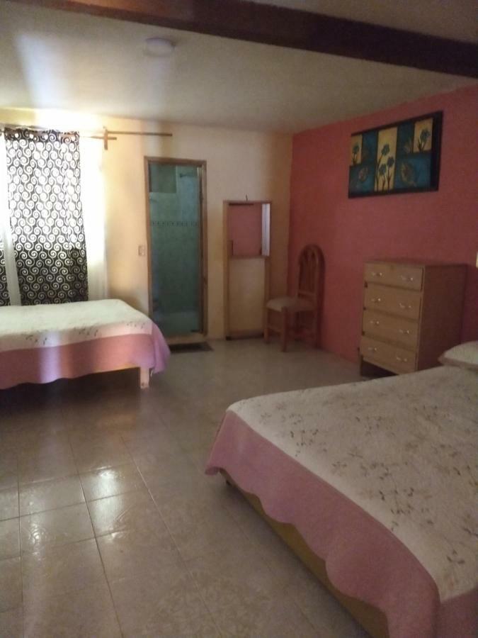 El Paraiso De Zacatlan Departamento Con Jardin, 11 Pax Luaran gambar
