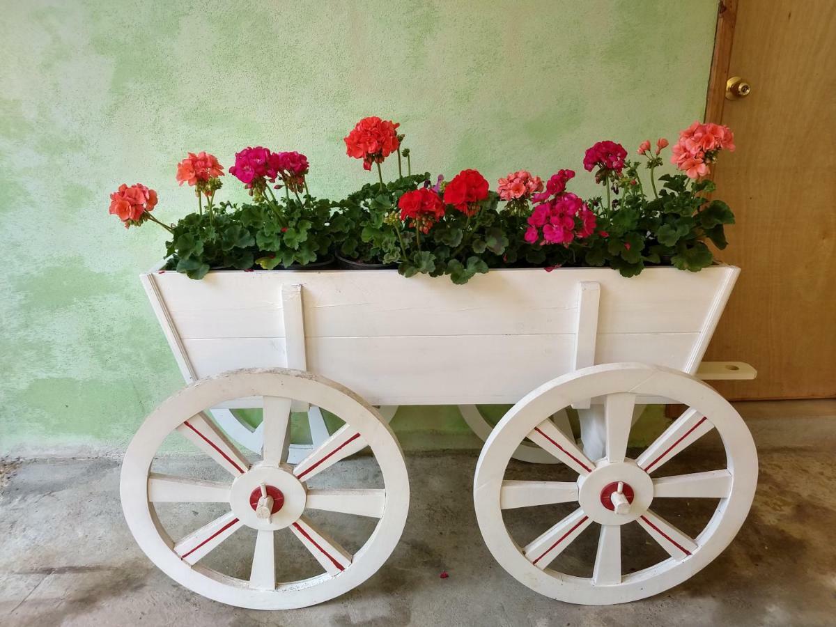 El Paraiso De Zacatlan Departamento Con Jardin, 11 Pax Luaran gambar
