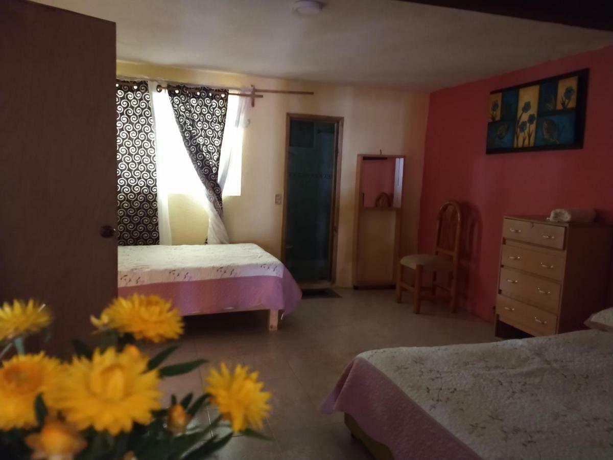 El Paraiso De Zacatlan Departamento Con Jardin, 11 Pax Luaran gambar